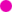 Rote Sommer-Spiere (Spierstrauch) blht purpur