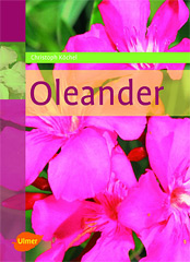 Oleander  Bltenflle des Sdens