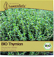 Thymian (Samen) Thymus vulgaris