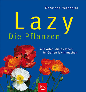 Lazy - Die Pflanzen