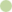 Riesensegge blüht grün