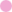 Clematis Bergwaldrebe blüht rosa