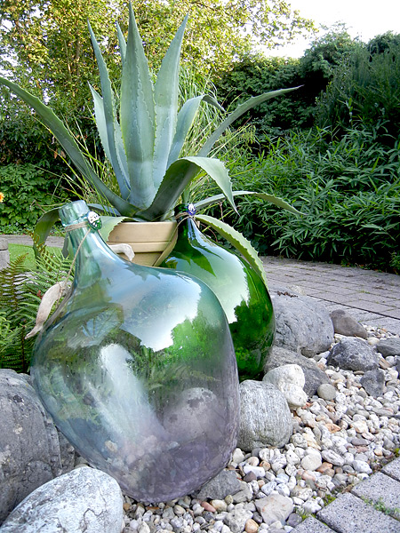 Agave (bot. Agave americana) dekoriert mit ein paar alten Ballonflaschen in unserem Garten